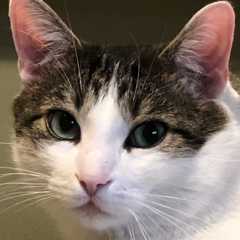 Meet your Posher, Eric